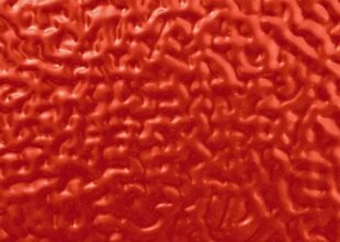 baa26fa9-bf49-437e-8641-bcd706e46730 baa26fa9-bf49-437e-8641-bcd706e46730