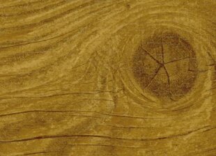 76a72436-5279-4b34-873b-6fd394a523ab