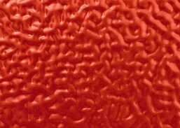 bdfe0bad-763f-4e64-833c-341a03c7f9a5