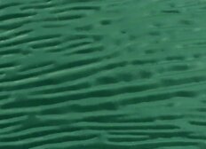 64b99ef0-c495-42fc-b05b-9a639d2aabdb 64b99ef0-c495-42fc-b05b-9a639d2aabdb