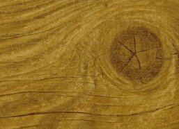 dff4df4d-1638-4f7c-9d04-1fad4cad6d0e