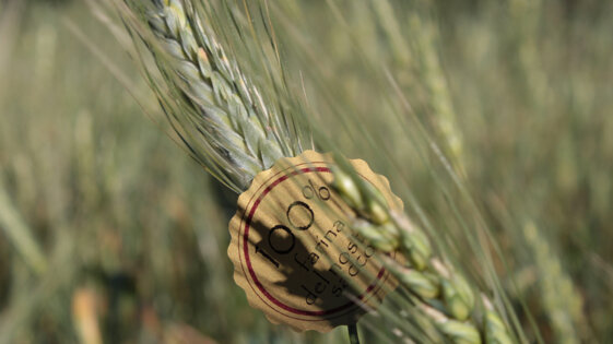 4dd1a36d-8f91-4442-a1cd-4fcfde0545b3 4dd1a36d-8f91-4442-a1cd-4fcfde0545b3