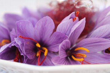 1d1374d3-fc84-4ba7-a18a-3c24845f0ff3.jpeg 1d1374d3-fc84-4ba7-a18a-3c24845f0ff3.jpeg