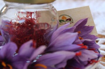 8a595562-4607-48aa-8914-d8887447b981.jpeg 8a595562-4607-48aa-8914-d8887447b981.jpeg