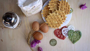 e2554535-c3eb-46b9-b070-6561defcdebf e2554535-c3eb-46b9-b070-6561defcdebf