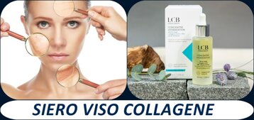 1faa1d02-c975-42e1-b756-f19cbdc3d501