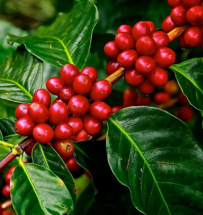 da92b9f4-4bb1-4503-a307-c53098921358