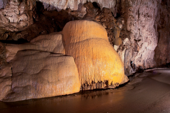 81686be8-ed43-4b09-b271-ef038c32917c