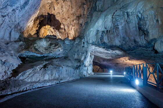 1db4b518-27c0-4c57-8a3b-ea22dcc6ccc0