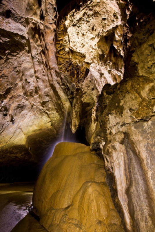 b82eea87-8979-45f7-a917-fa6732587218