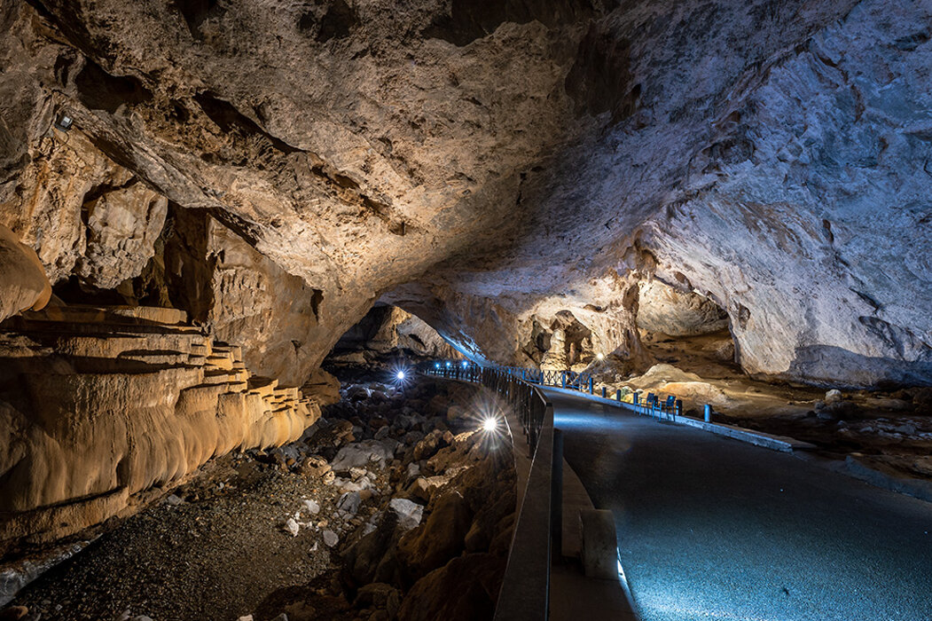 d62f5d96-f592-4733-953a-316b12349479