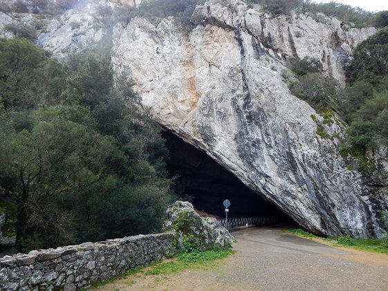 690a62b0-bb55-4457-a6cd-2a72acff43f1