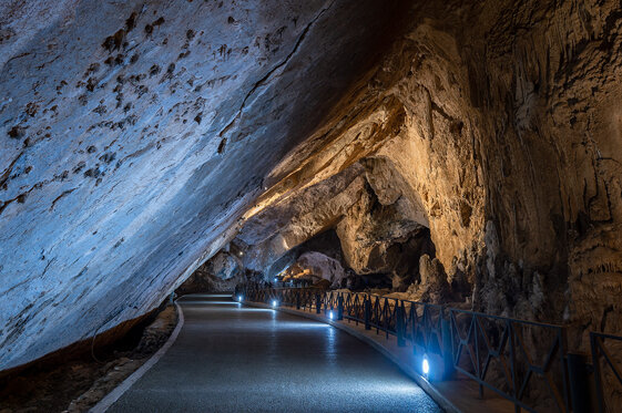 70d45577-5a68-448a-a836-d4980d2cf5ce