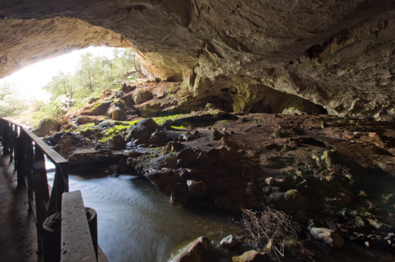 9fcb816a-5a6e-419c-b735-70d0feb1e6a4