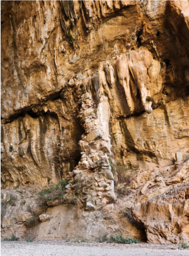 a11000da-422d-4549-8c72-d87d26983f2d