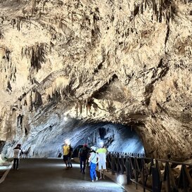 Visite in autonomia e visite interattive Tutti i giorni dalle ore 9:30 alle ore 17:30