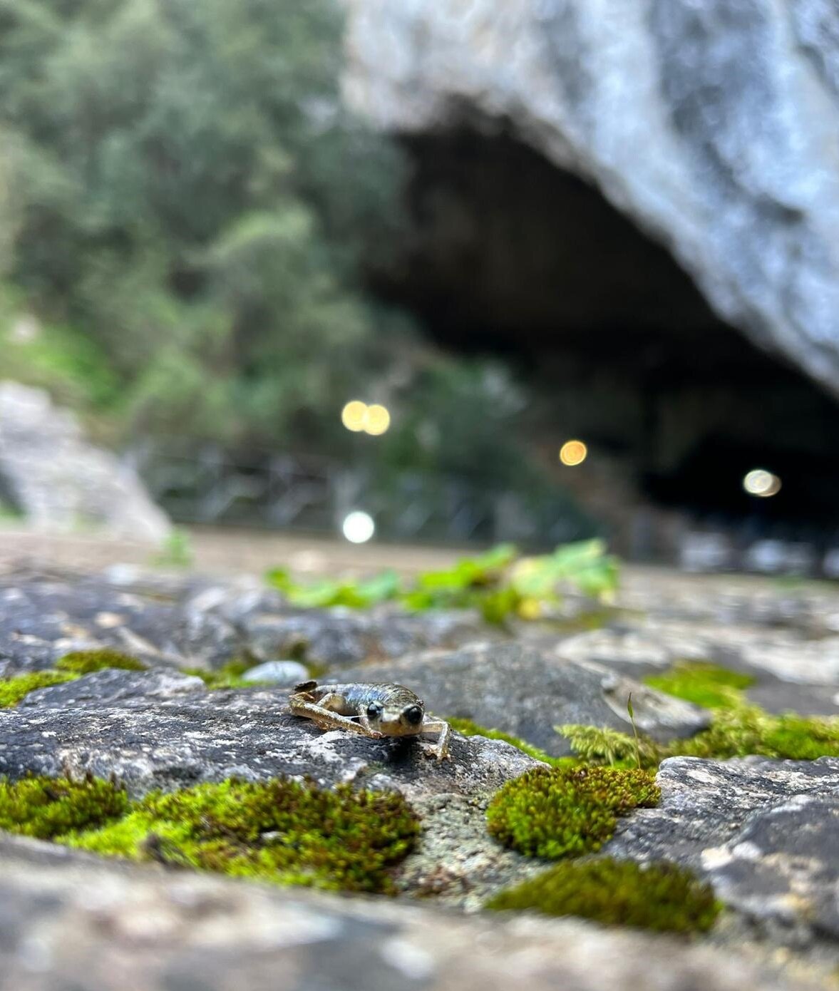 16c2b500-29d0-4693-a12c-b318e1f87af9.jpg 16c2b500-29d0-4693-a12c-b318e1f87af9.jpg