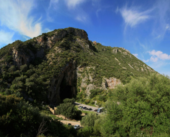 466c4b4d-cb07-42ba-9914-7dbc36d2df0a