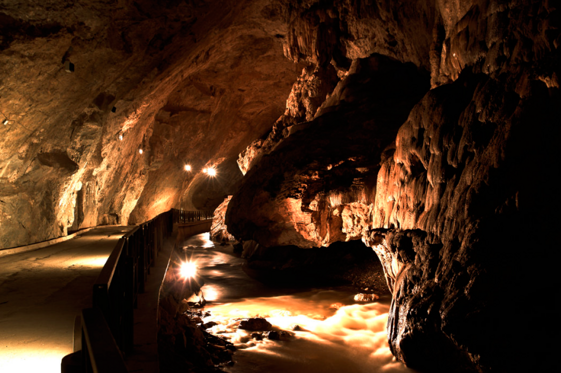 bb0410a7-5715-49a2-bb9f-f005505c5b2e