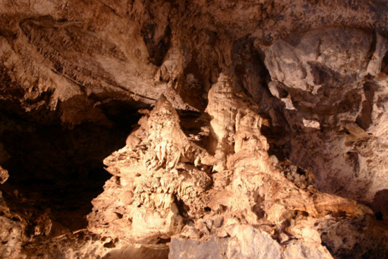 d1052aa7-3172-4109-aaf7-b4381dd65cec