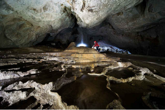 359d0981-eb72-49f3-871e-4a48afe92b94