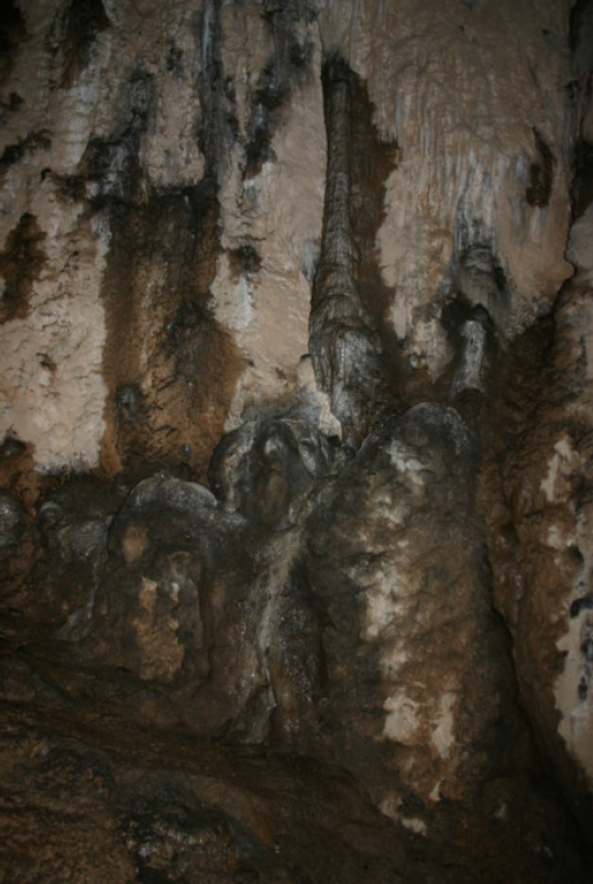 daa247f4-6ceb-4ee9-a1f1-38fdaecf7900