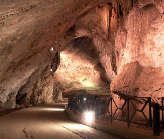 ee784b46-ee2d-492a-8b48-65078496b2b6