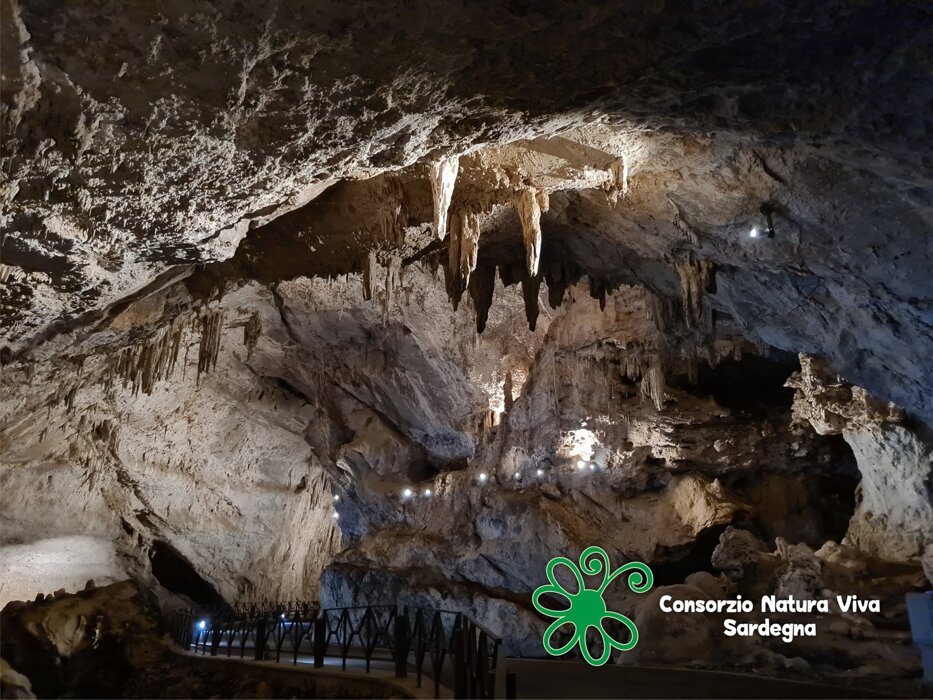 c50a2396-01a4-4c1b-b102-177e5f9c3fc6