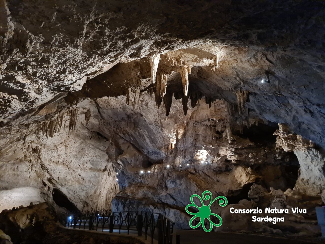 c50a2396-01a4-4c1b-b102-177e5f9c3fc6