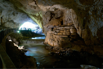 6995a786-d4f1-4a7c-96c4-192ad5c68620