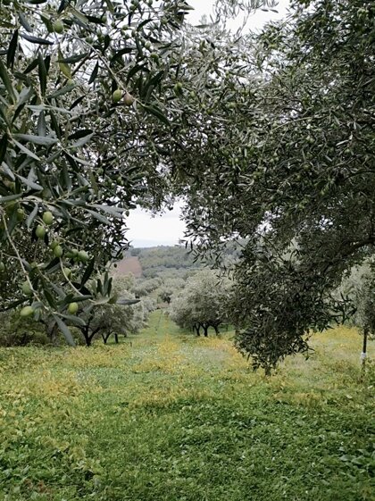 93698382-3e1e-4725-a4ff-2262befe0316