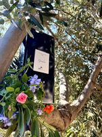 latta-5l-olio-evo-bio-gradea-latta