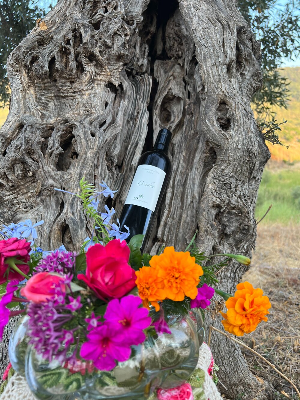 0d061746-daec-4a80-a228-38e391b749d0