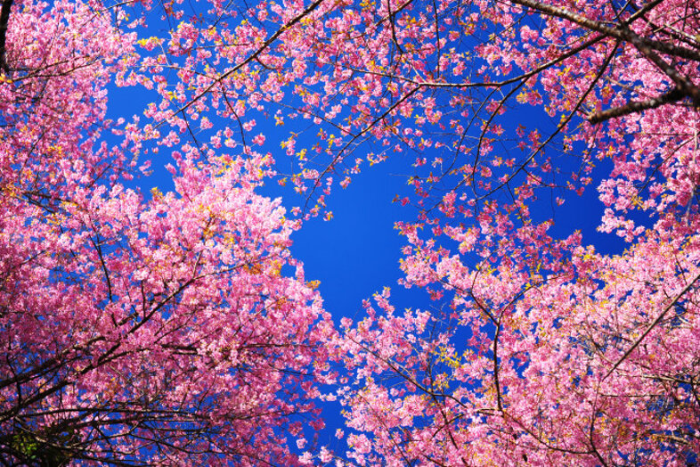 1eb7f6a4-beae-40a4-9a31-937eeb111d51