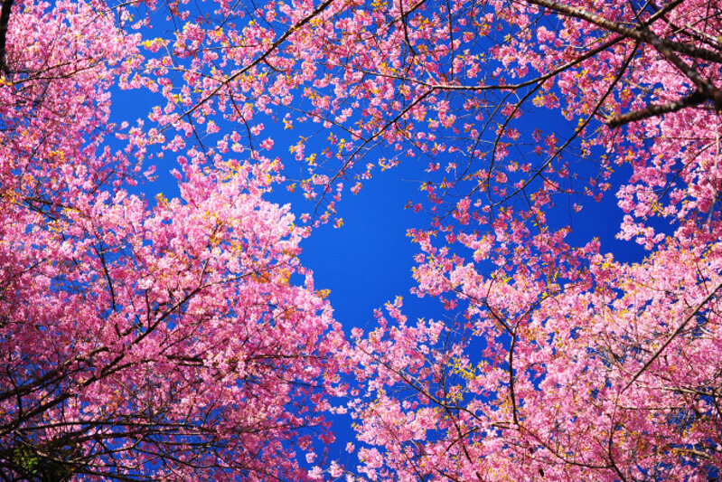 1eb7f6a4-beae-40a4-9a31-937eeb111d51