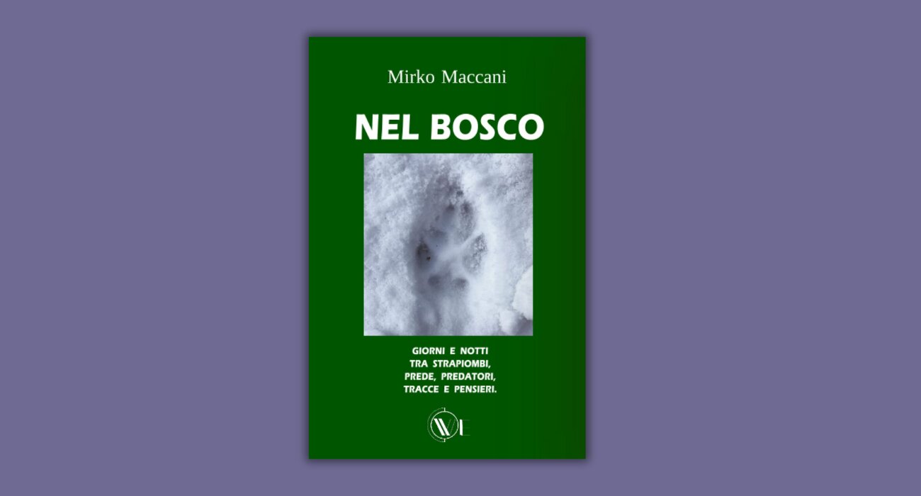 Alla scoperta della natura selvaggia delle Dolomiti con "Nel Bosco" di Mirko Maccani Alla scoperta della natura selvaggia delle Dolomiti con "Nel Bosco" di Mirko Maccani