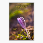 i-maestri-ci-parlano