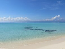 a3201ee6-1e7a-49c7-9a86-fc675dcc5671 a3201ee6-1e7a-49c7-9a86-fc675dcc5671