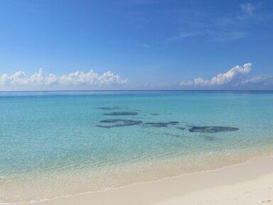 a3201ee6-1e7a-49c7-9a86-fc675dcc5671 a3201ee6-1e7a-49c7-9a86-fc675dcc5671