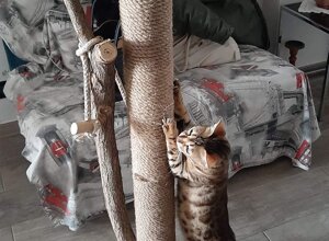 20240120_160708.jpeg