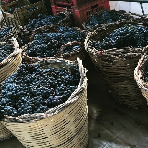 dae1b429-2c5d-4d7a-999b-23d3e30ac904