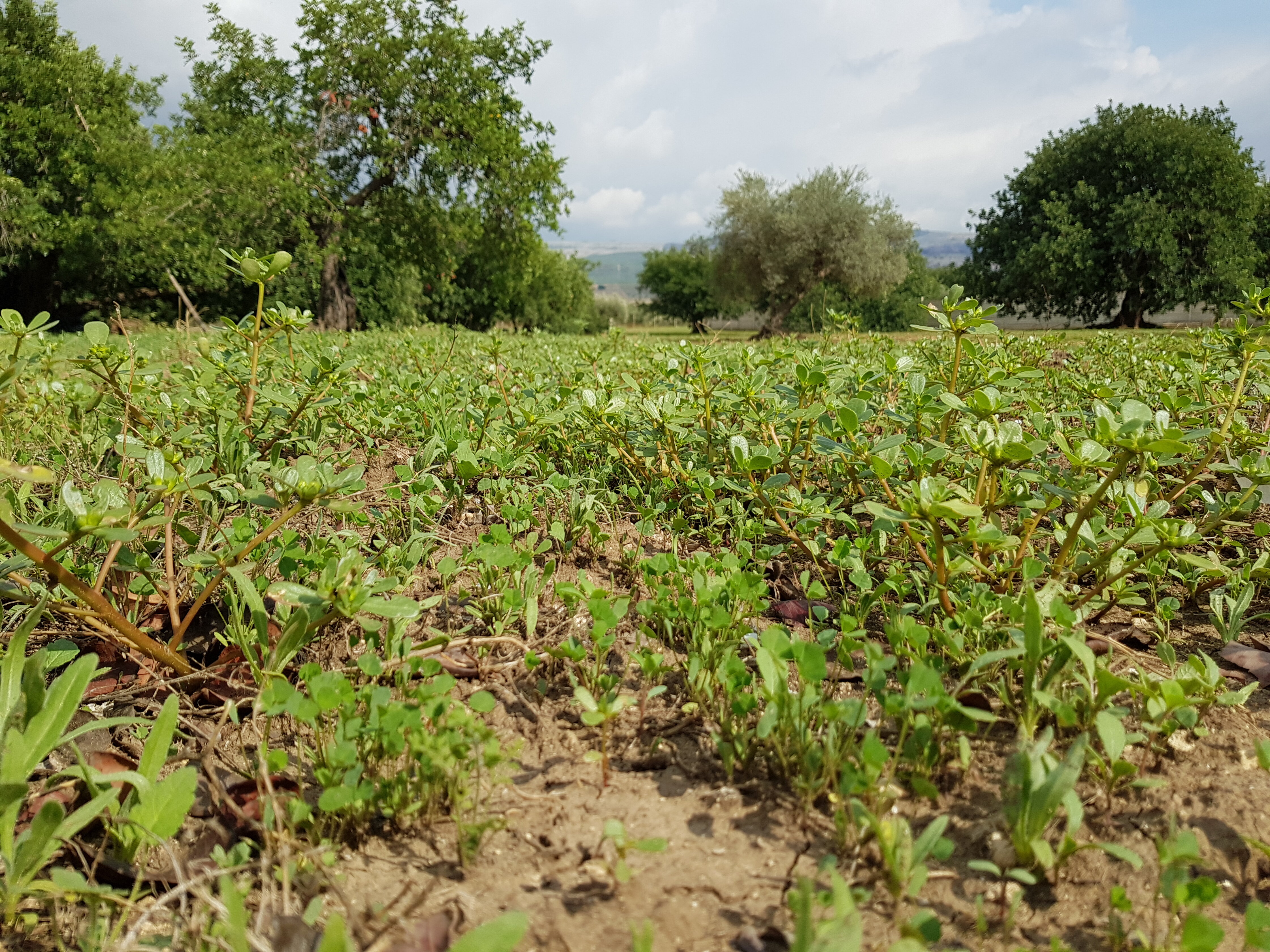 aa776e98-b458-436c-a3ce-231eb15a96e1