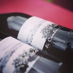 ti-cuntu-grillo-doc-sicilia-2023