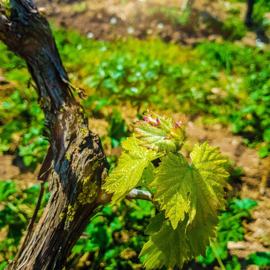 e2eafc45-a6cd-4130-a7c7-00df69fae852