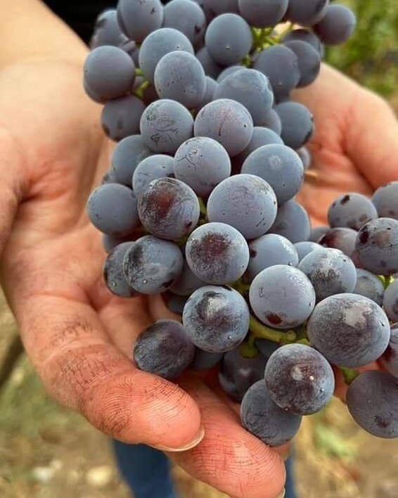 b7f5b24e-93b1-4f05-b82a-0fe5e0d8860c