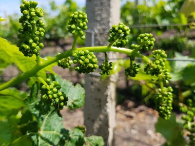 d131285e-39ac-4352-865e-3765d3bfcdfd