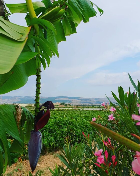 8512a38b-7172-4e93-a4d6-83a74b5435a4