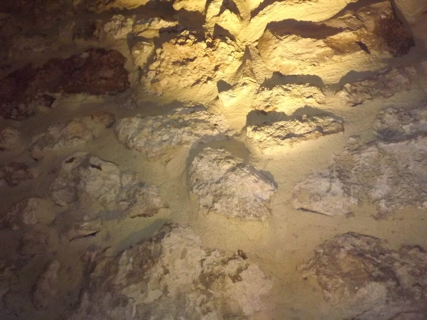 6d1b1f23-fb7c-4509-8c5e-83d4e53f9501 6d1b1f23-fb7c-4509-8c5e-83d4e53f9501