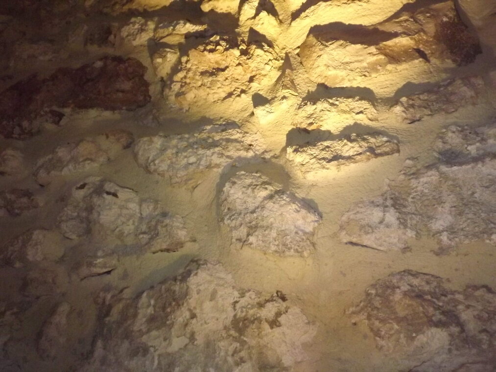 6d1b1f23-fb7c-4509-8c5e-83d4e53f9501 6d1b1f23-fb7c-4509-8c5e-83d4e53f9501