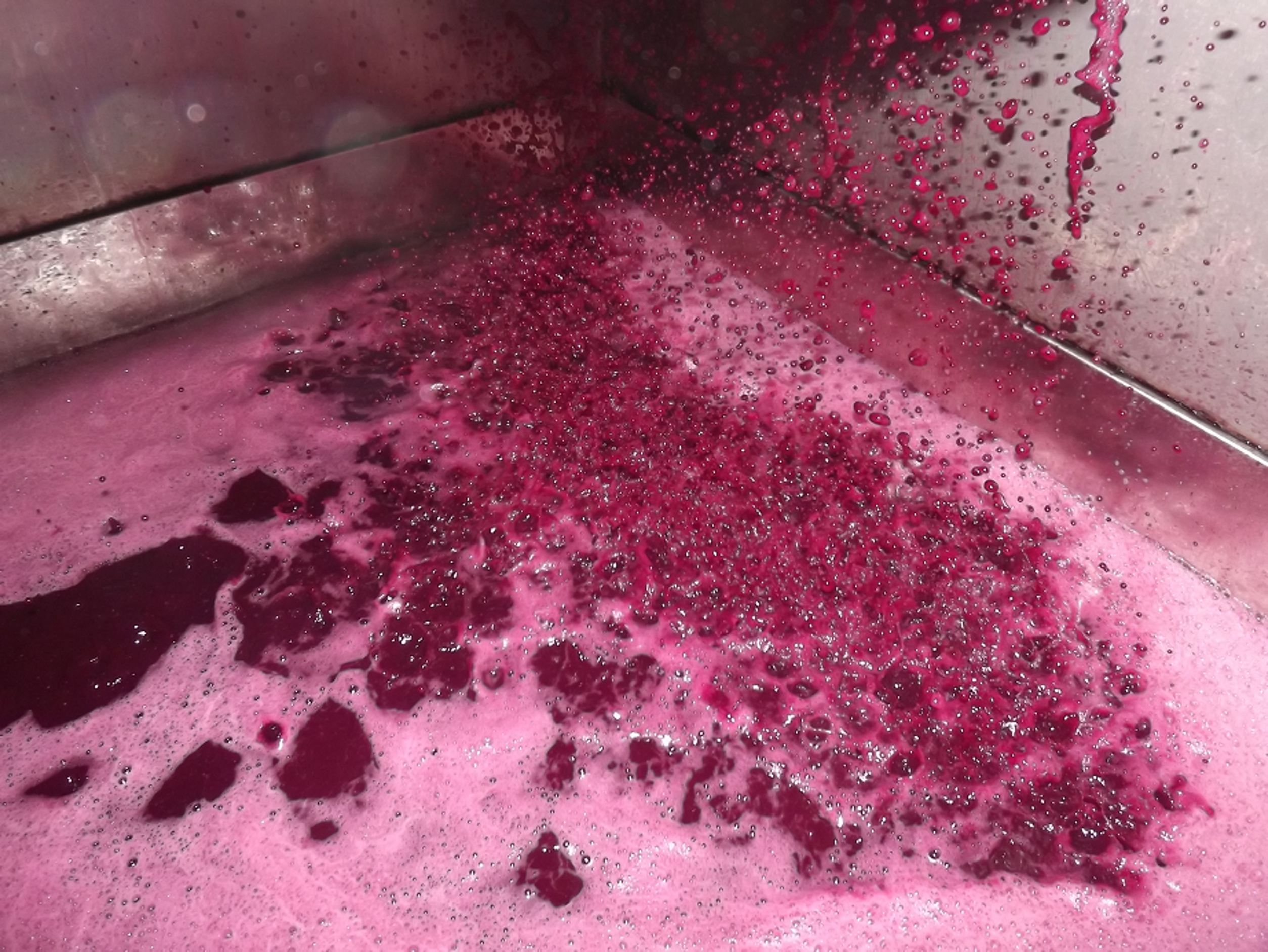 9d3b7f7b-7c2d-4097-abf1-b9f65d7a454a